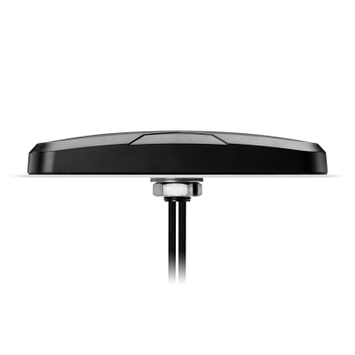 TAOGLAS Antena Monsoon MA170 2*LTE MIMO CFD-2m