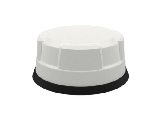 Panorama Antennas Antena 4x4 Mimo 4G/5G 30cm przewód SMA(m)